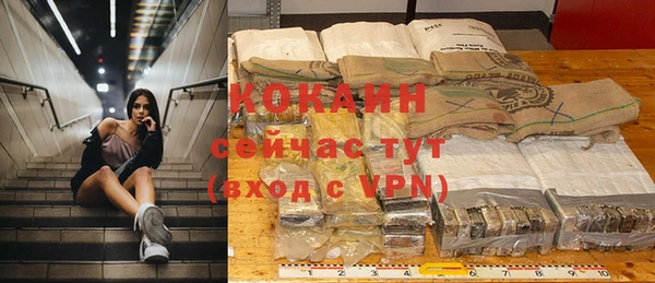 молекула духа Белокуриха