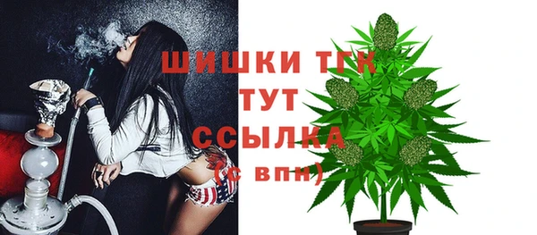 молекула духа Белокуриха