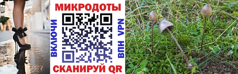 Псилоцибиновые грибы прущие грибы  Донецк 