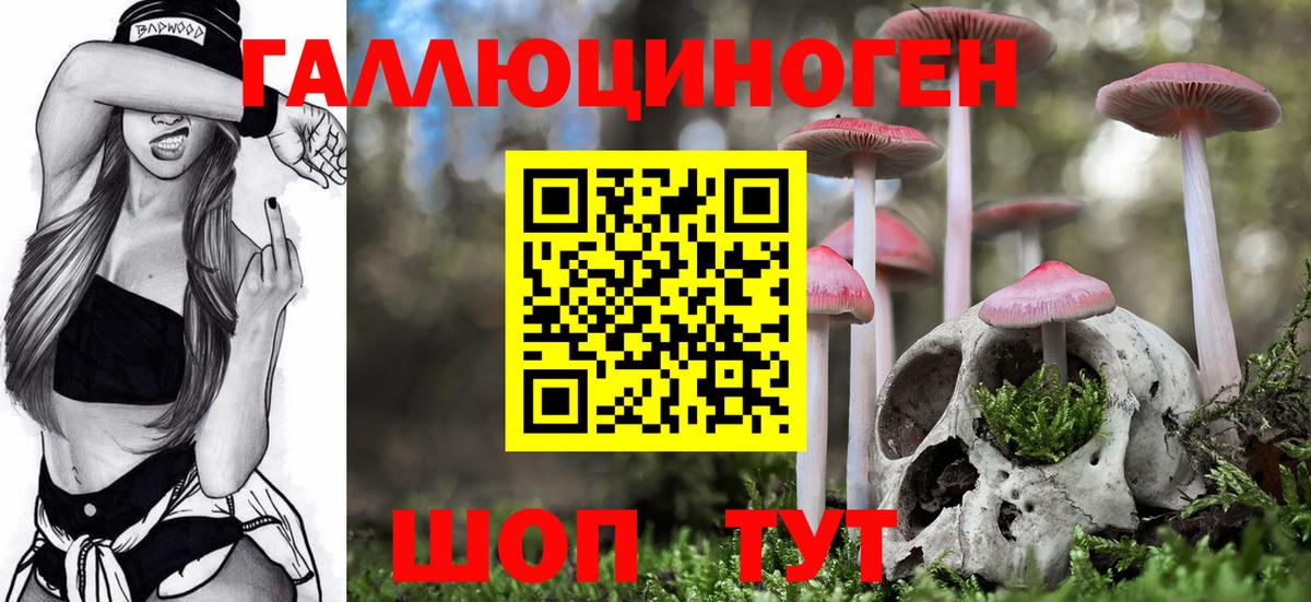 Галлюциногенные грибы мицелий Донецк