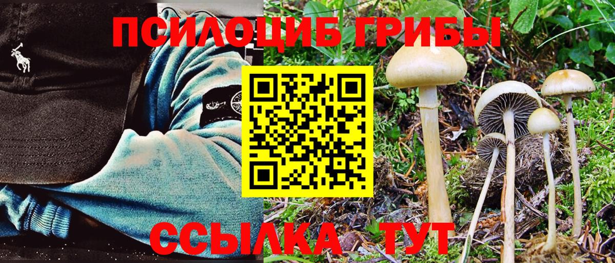 Псилоцибиновые грибы Cubensis  Псилоцибиновые грибы Cubensis  Вход с VPN  Донецк 